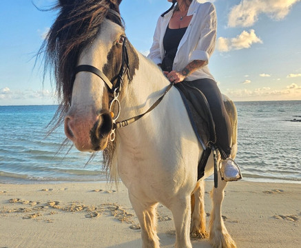 Legasea Stables Mauritius-Quatre Cocos必去景点