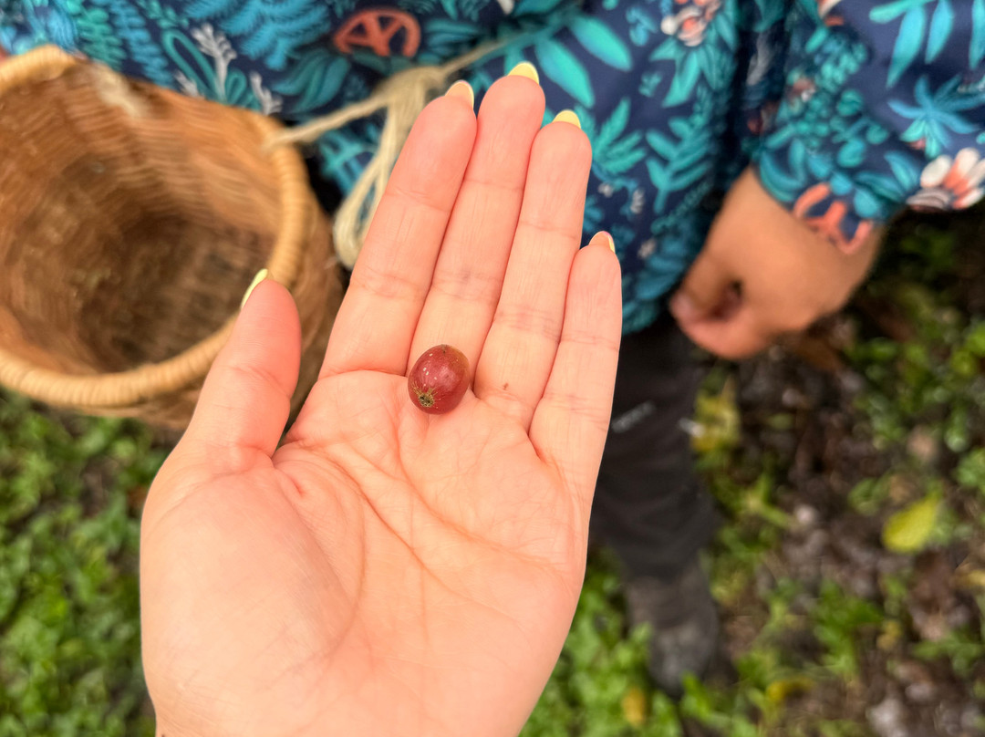 Rutas Cafeteras Tours-Circasia必去景点