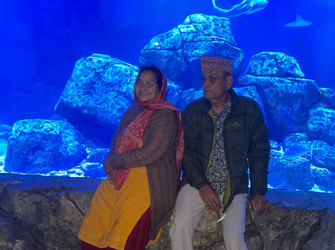 Marassi Aquarium & Underwater Zoo-Diyar Al Muharraq必去景点