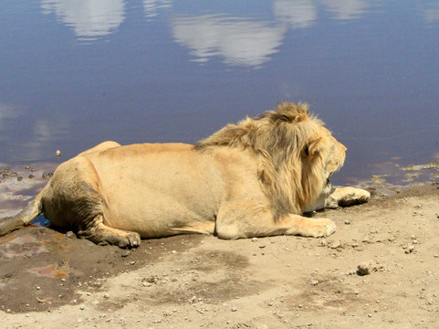 FB Tanzania Expeditions-阿鲁沙必去景点
