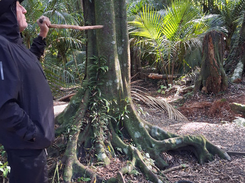 Awakeri Rail Adventures-法卡塔尼必去景点