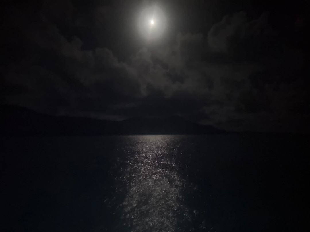 Whitsunday Rent A Yacht-艾尔利滩必去景点