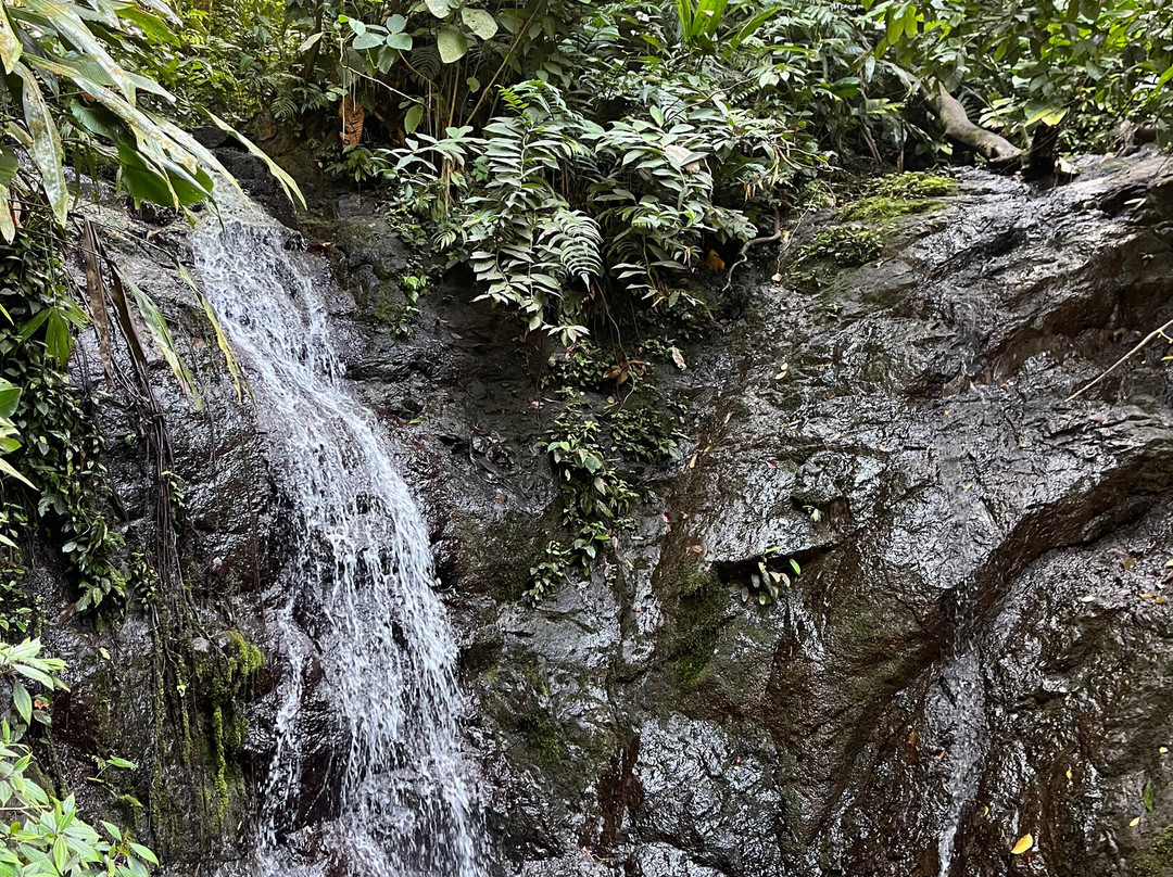 Tundo Tours-Bahia Solano必去景点