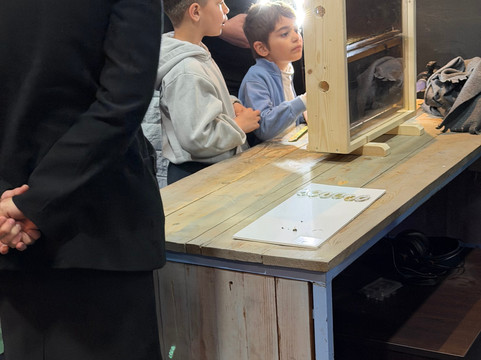 Bee Museum-诺帕克特斯必去景点