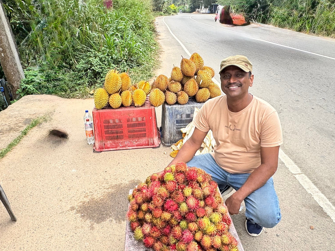 Royal Ceylon SN Tours Gampaha-Kirindiwela必去景点