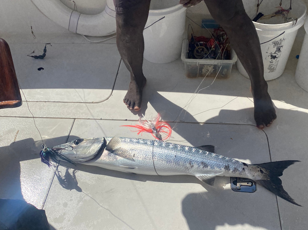 Panoply Sport Fishing & Luxury Charters-普罗维登西亚莱斯必去景点