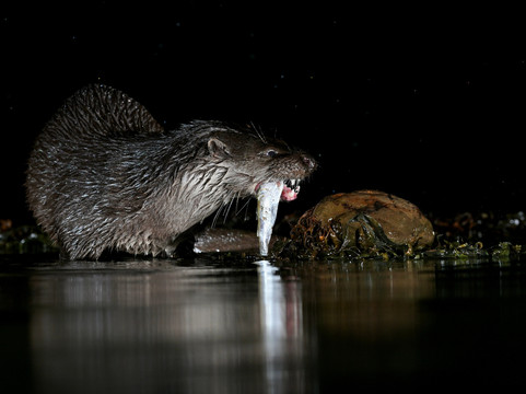 Scottish Photography Hides-Kirkcudbright必去景点
