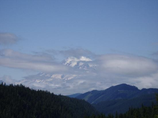Quality Inn Olympia