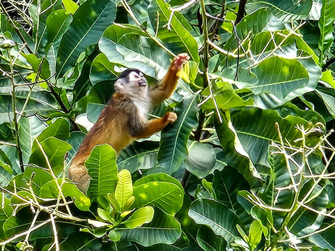 Picolina Tours-德雷克湾必去景点