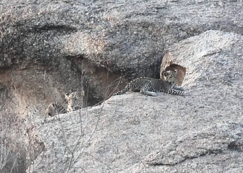 The Fateh Pratap Hotel And Resort