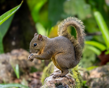 加勒比天堂生态旅馆主图