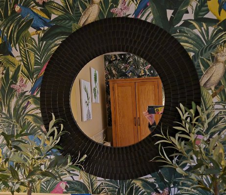 天鹅汽车旅馆-官方