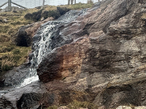 Shetland Nature-Unst必去景点