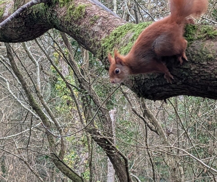 比肖普斯盖特之家酒店主图