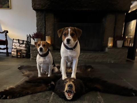 莫格达尔酒店主图