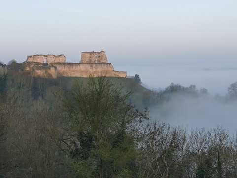 Chateau of Coucy-Coucy-le-Chateau-Auffrique必去景点