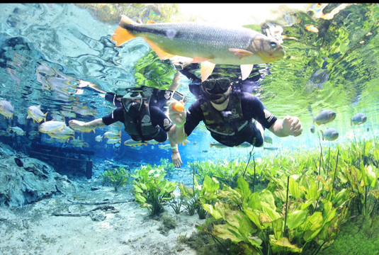 Aquario Natural-博尼图必去景点