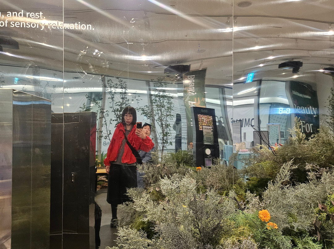 B The B-首尔必去景点