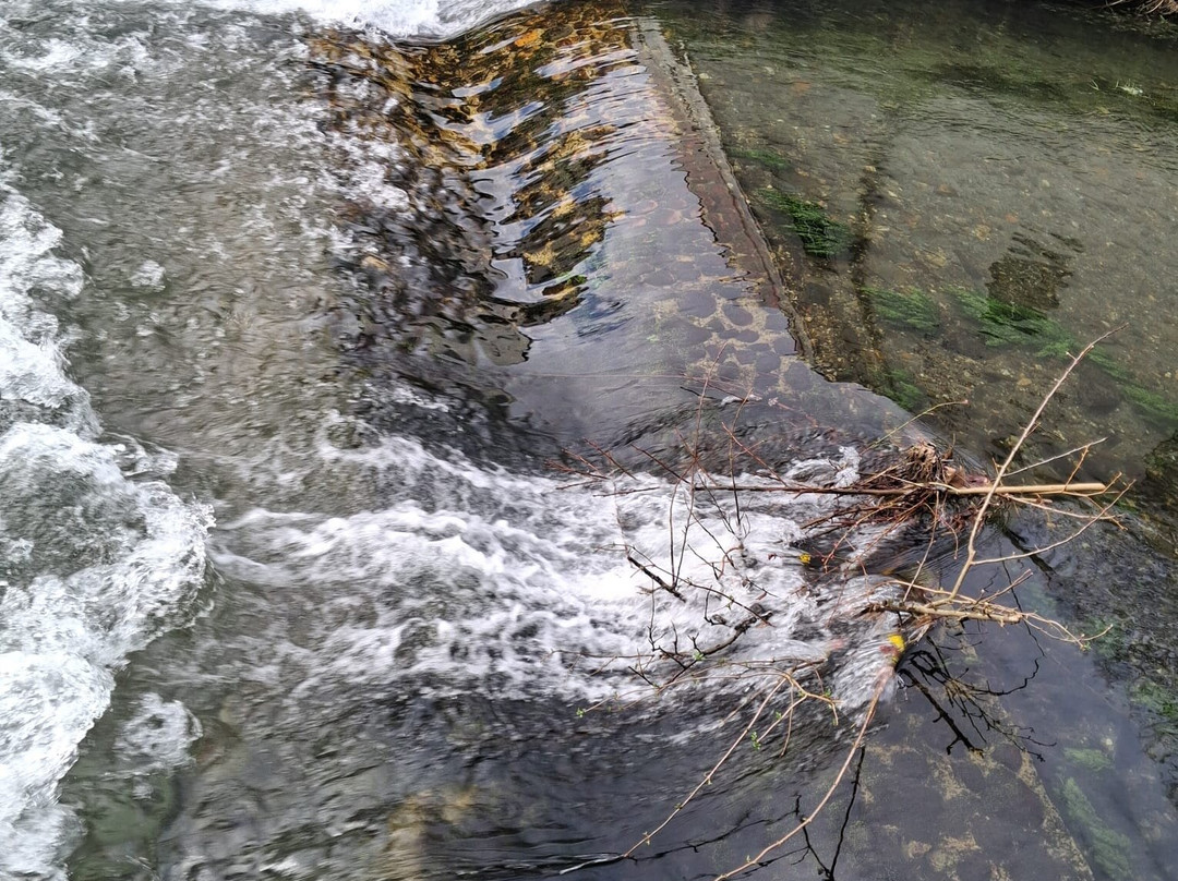 圣罗萨旅馆主图