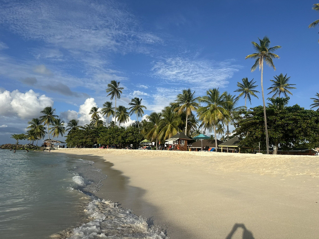 牧羊人旅馆主图