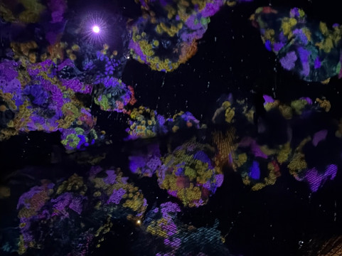 teamLab Phenomena Abu Dhabi-阿布扎比必去景点