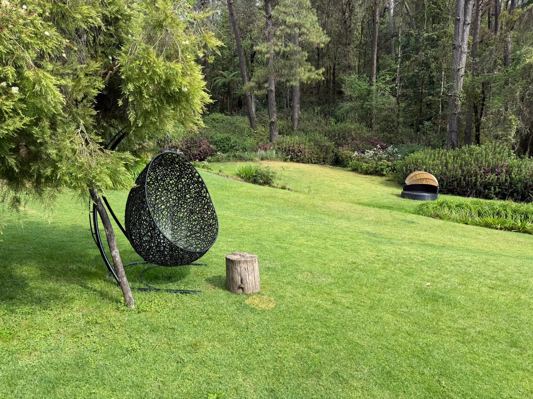 Eleusinia Retreat-巴耶－德布拉沃必去景点