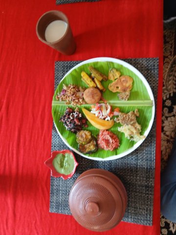 帕拉莫德会议海滩度假村-官方