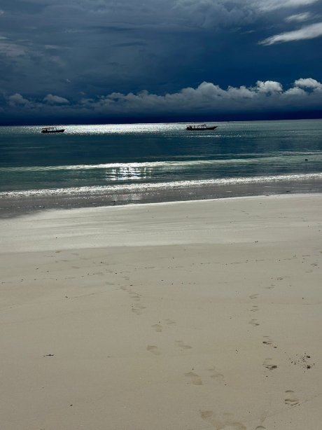 桑给巴尔扎瓦迪酒店-官方