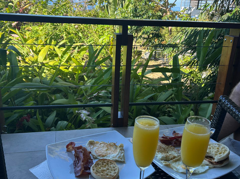 图莱马尔豪华度假屋主图