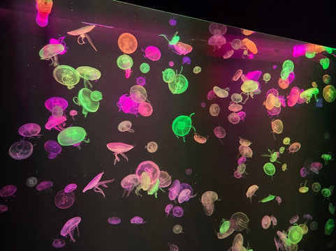 Poema Del Mar-大加那利岛拉斯帕尔马斯必去景点