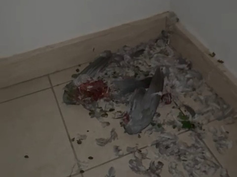 Calabernardo Resort主图