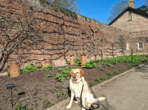 Beningbrough - National Trust-Beningbrough必去景点