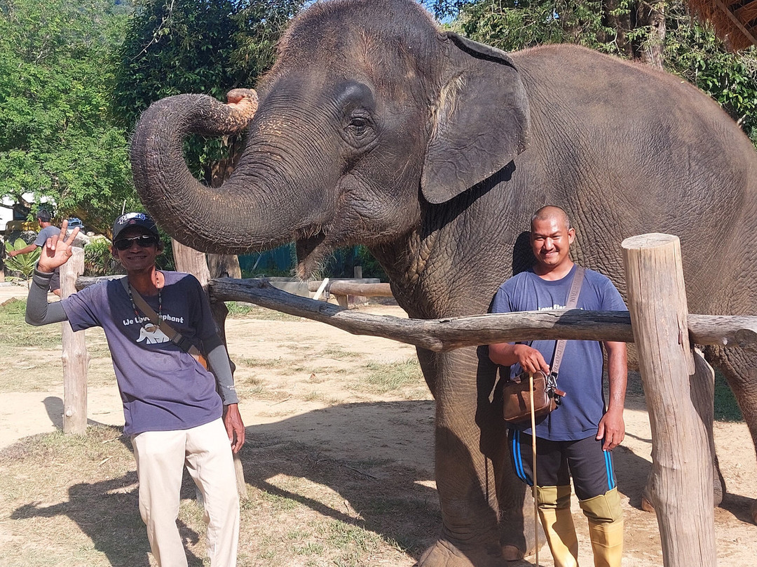 Lanta Elephant Sanctuary-兰塔岛必去景点