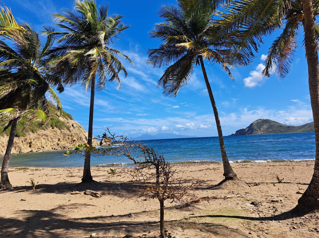 Catlante Catamarans-布洛涅-比扬古必去景点