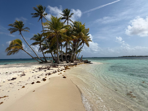 El Gitano del Mar-埃尔波韦尼尔必去景点