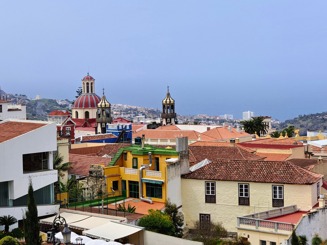 Valle de La Orotava-德拉克鲁兹索尔港必去景点