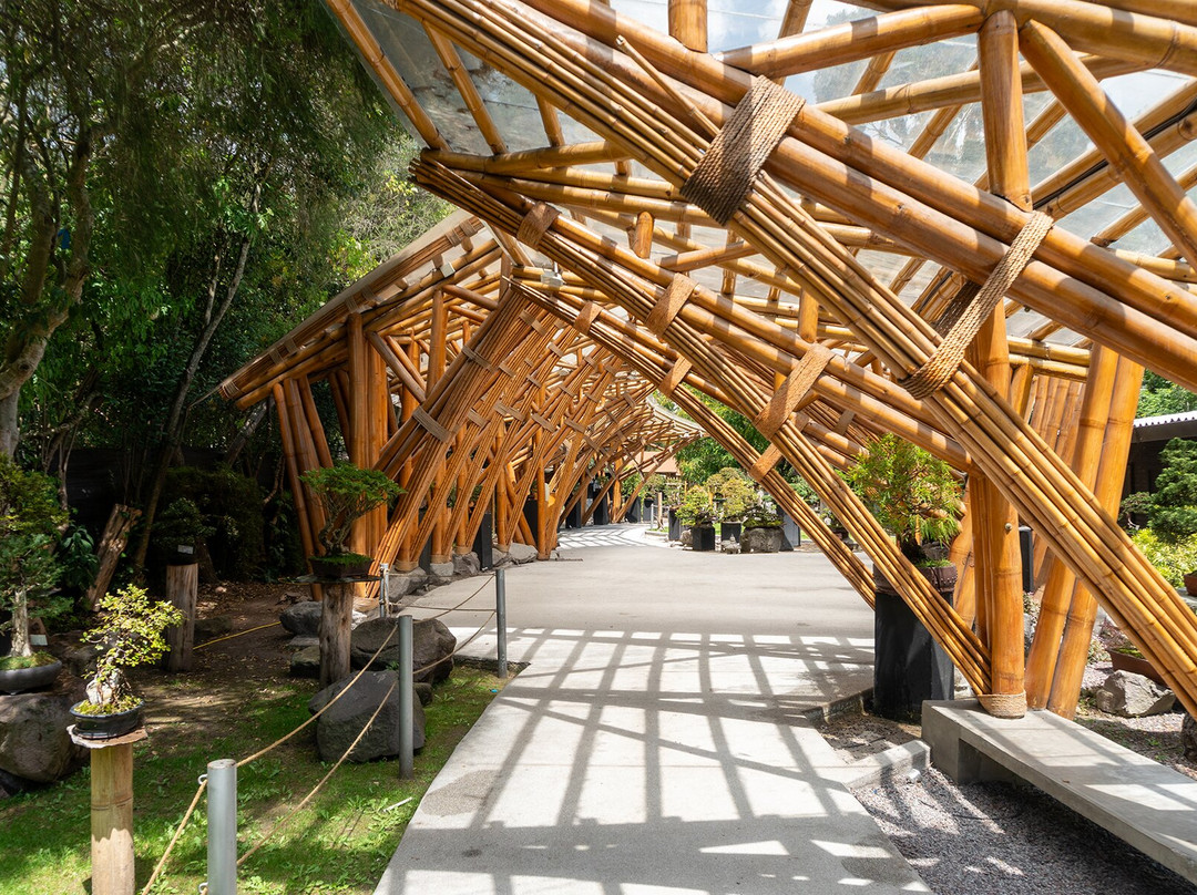Jardín Botánico de Quito-基多必去景点