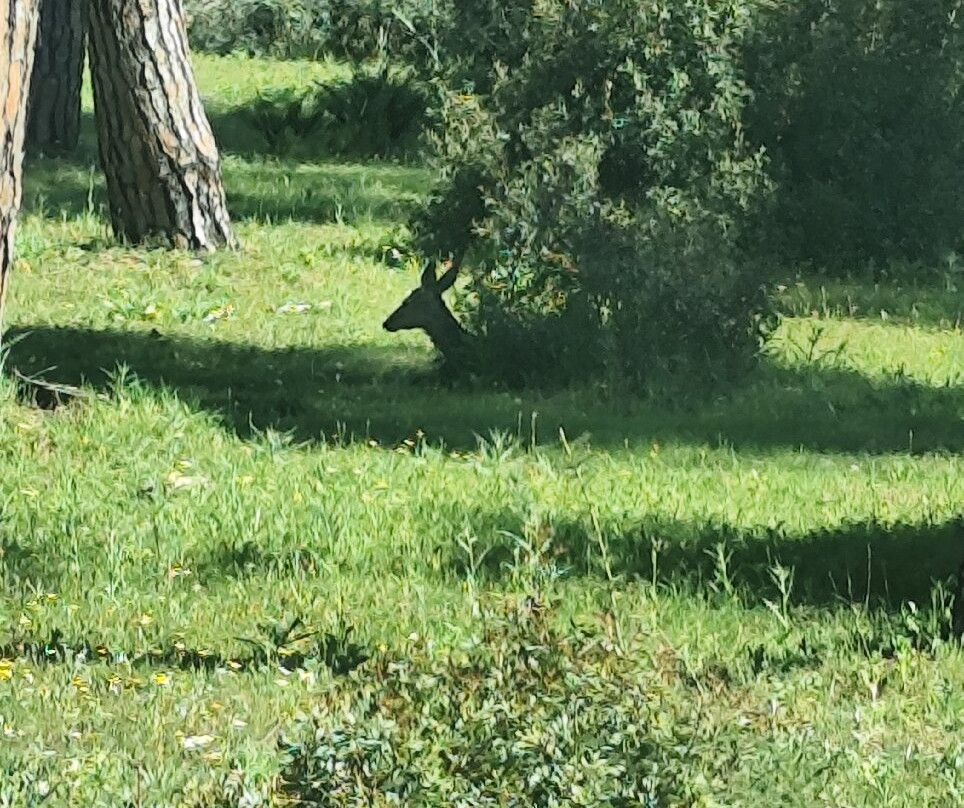 Donana Visitas-El Rocio必去景点