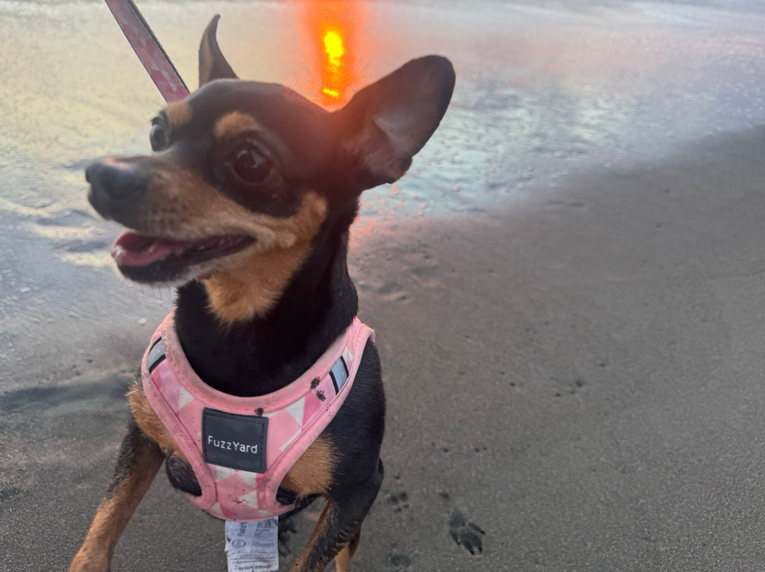 太平洋露台酒店主图