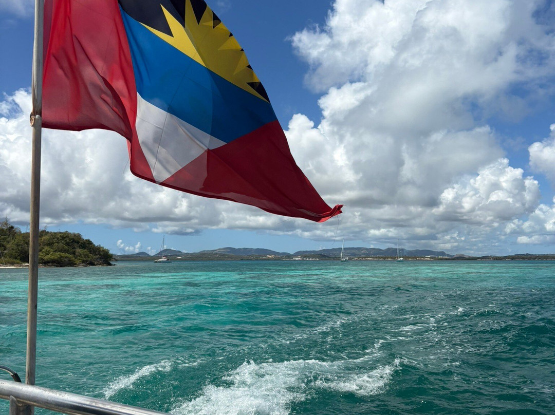 Wadadli Cats-安提瓜必去景点