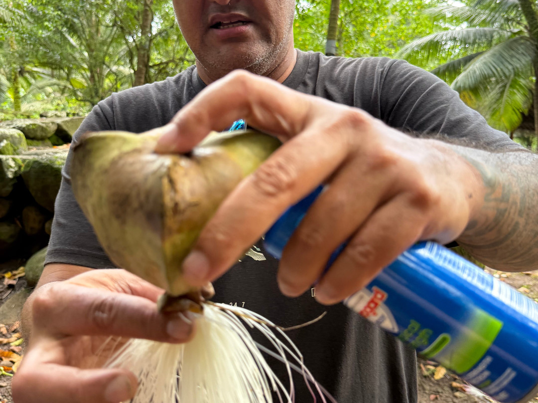 Nuku-Hiva Tours-Nuku Hiva必去景点