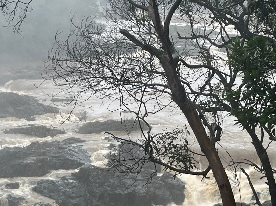 Barron Falls-库兰达必去景点