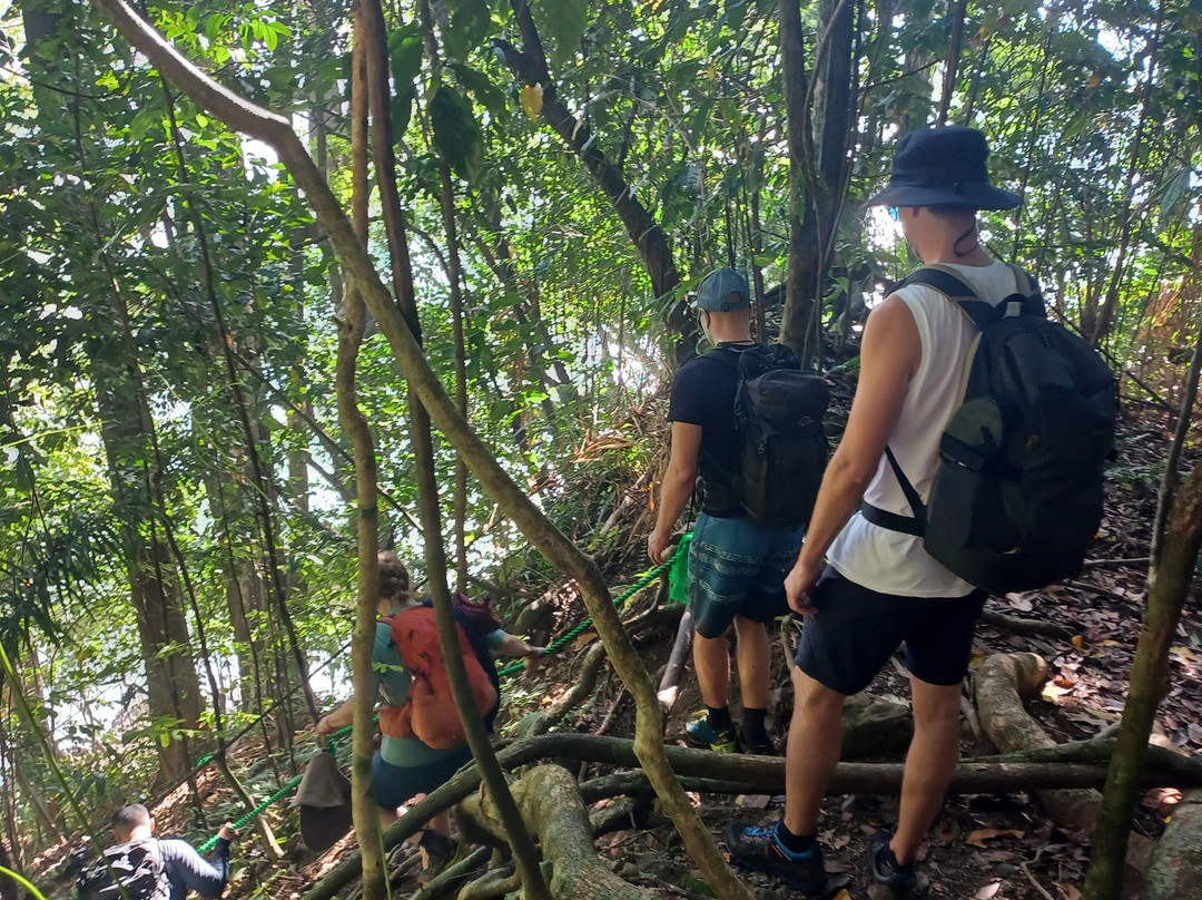 Corcovado Hiking Tours-希门尼斯港必去景点