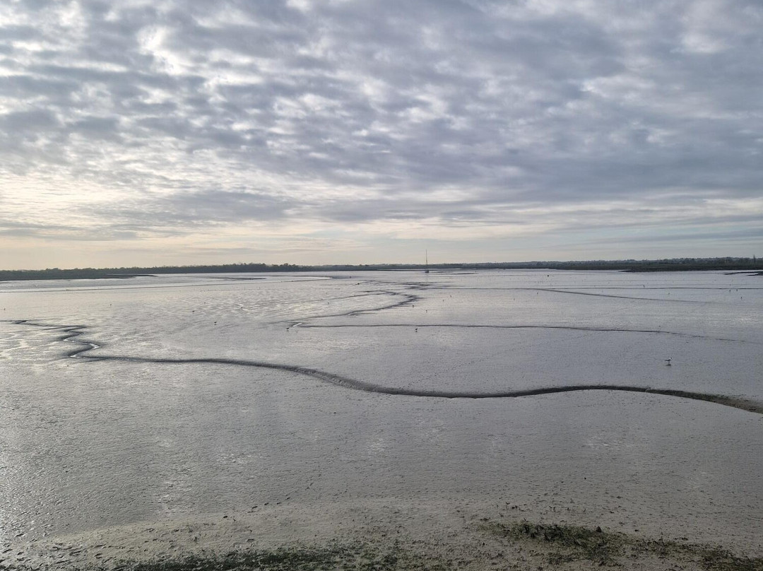 乔利水手 - 码头上的鱼民宿主图