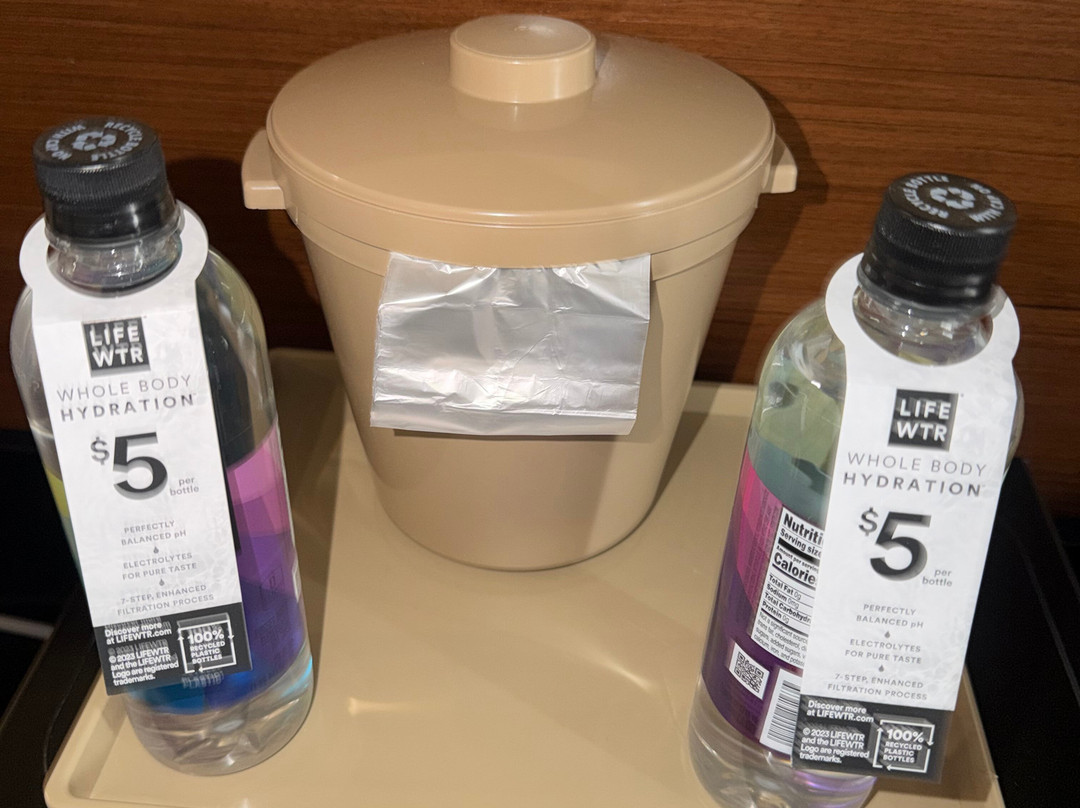 坦帕布兰登万枫酒店及套房主图