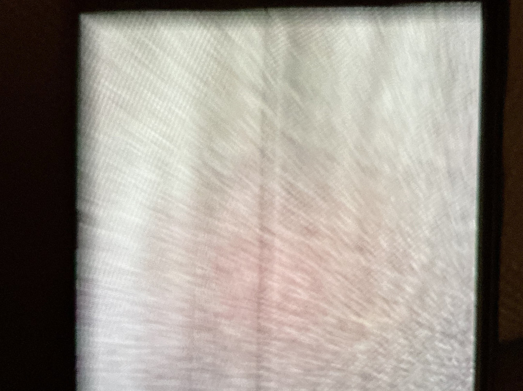 Rai Boss Collections-Talat Nuea必去景点