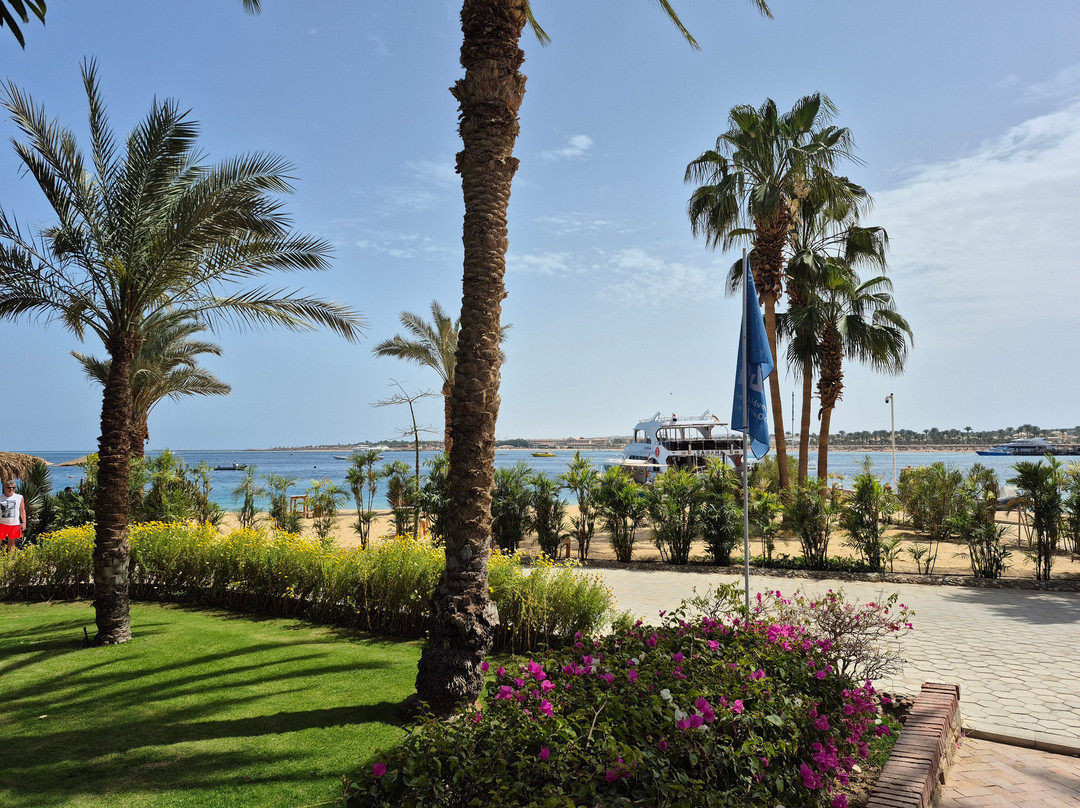 iDive Diving Centre-马卡迪湾必去景点