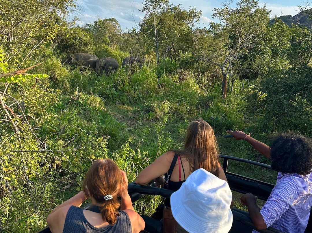 Tony Sri Lanka Tours-亚洪加拉必去景点