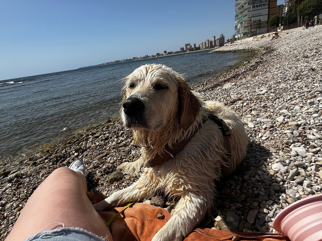 Playa Can Campello-坎佩略必去景点