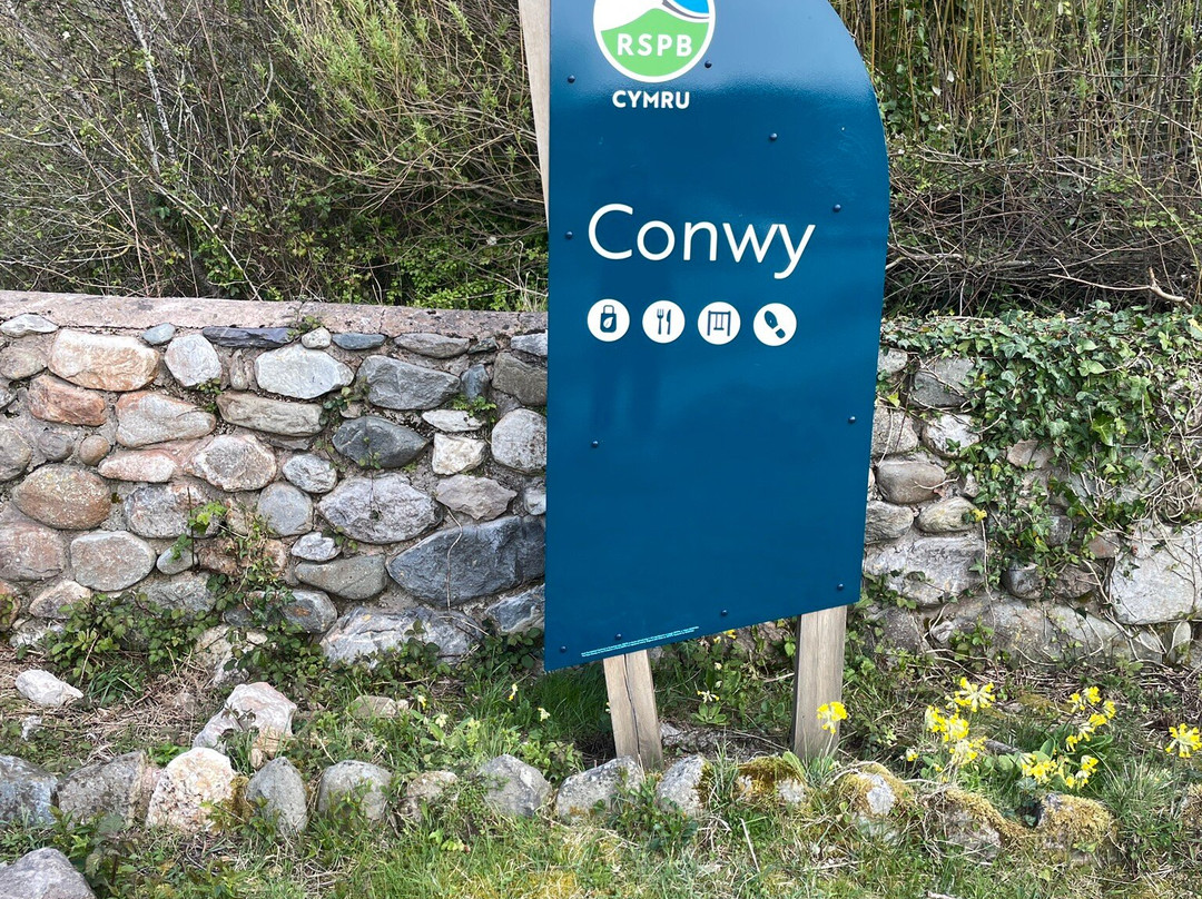 RSPB Conwy Nature Reserve-Llandudno Junction必去景点